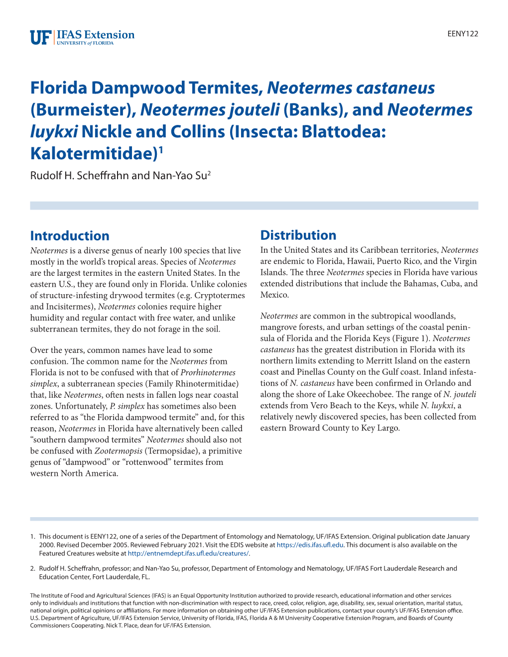 Florida Dampwood Termites, Neotermes Castaneus