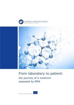From Laboratory to Patient: the Journey of a Centrally Authorised Medicine