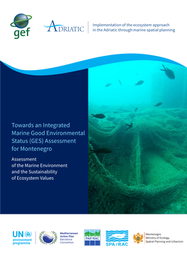 Towards an Integrated Marine Good Environmental Status (GES)