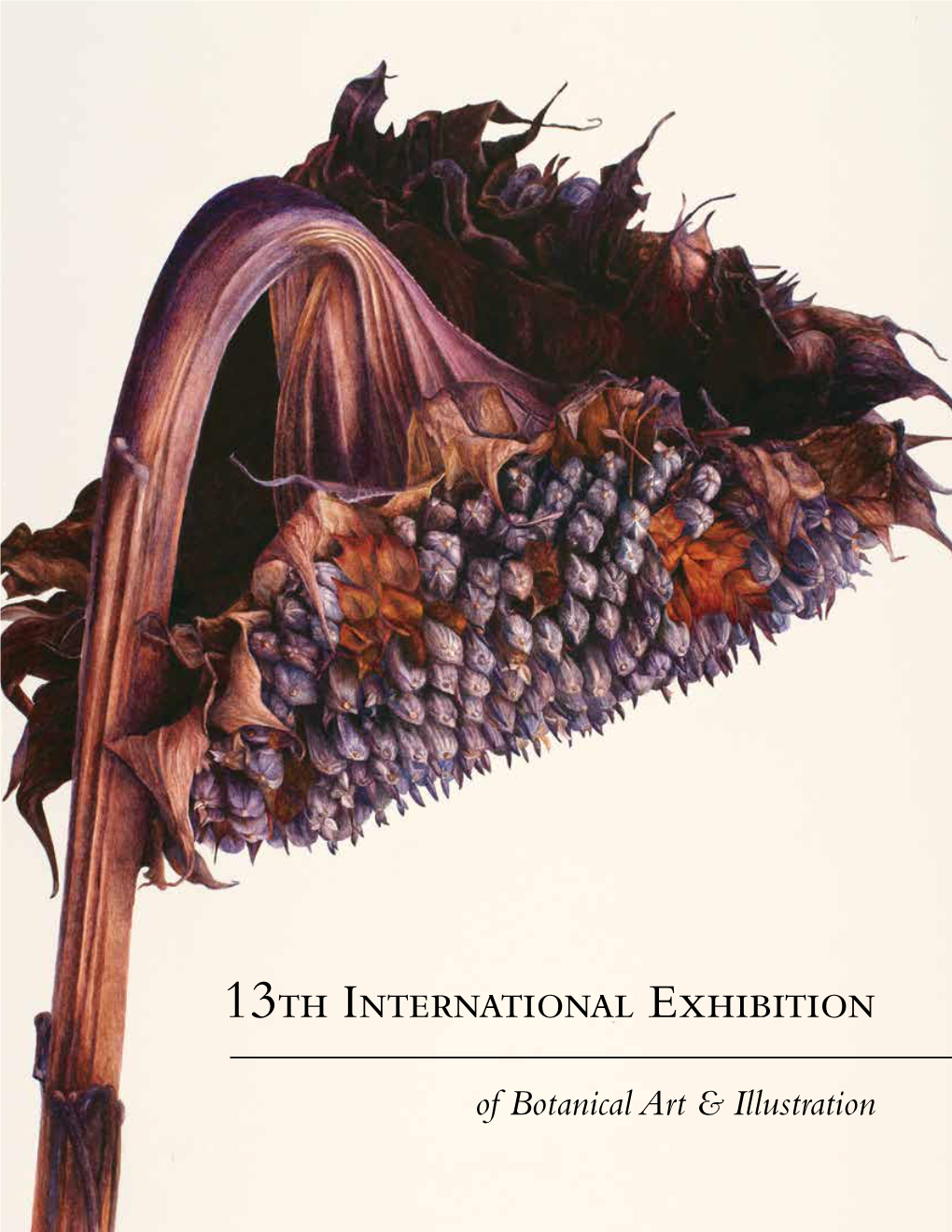 13Th International Exhibition