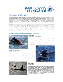 Cetaceans of Orkney