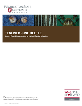 TENLINED JUNE BEETLE Insect Pest Management in Hybrid Poplars Series