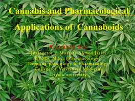 Cannabis and Pharmacological Applications of Cannaboids