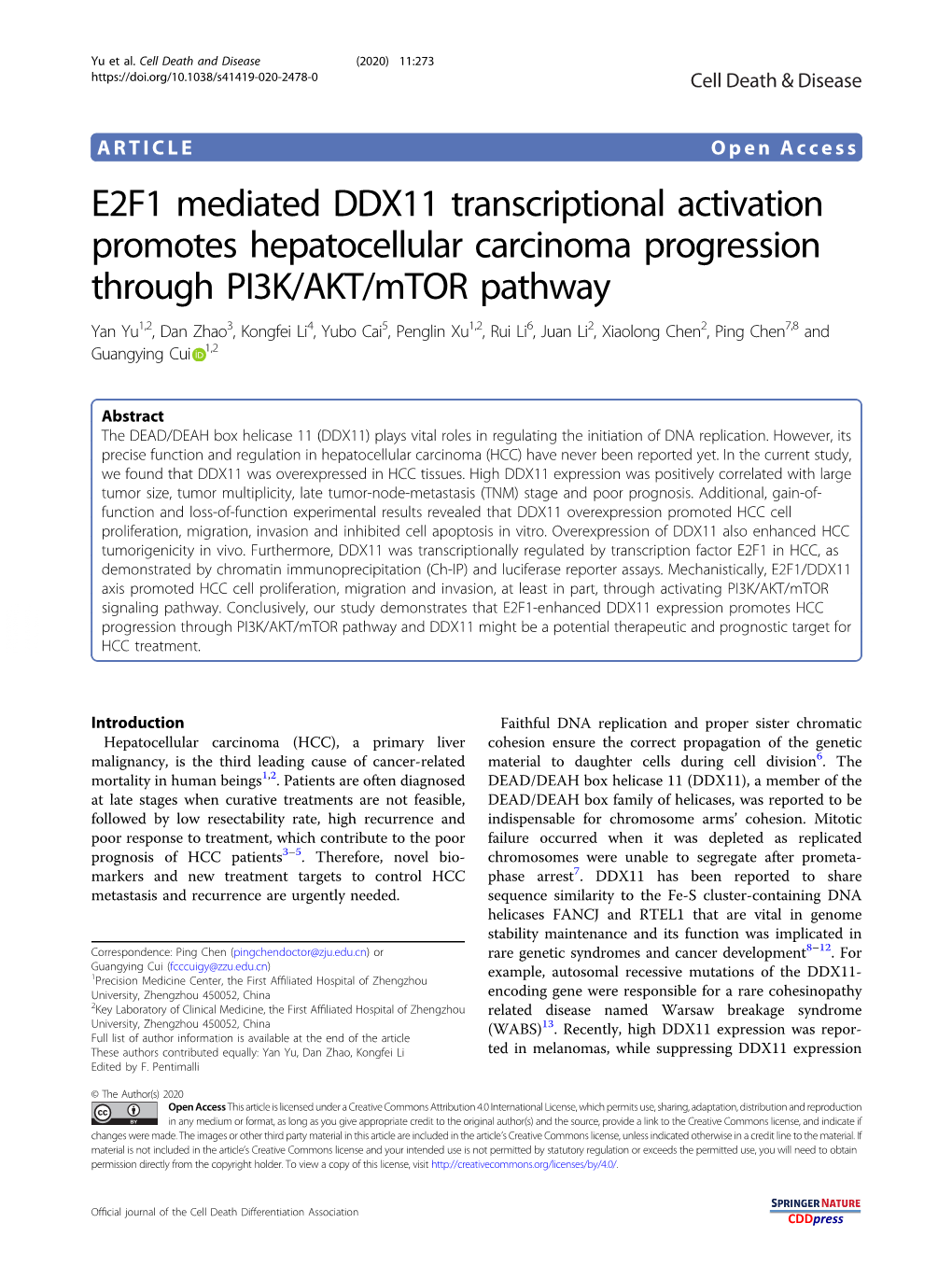 E2F1 Mediated DDX11 Transcriptional Activation Promotes Hepatocellular