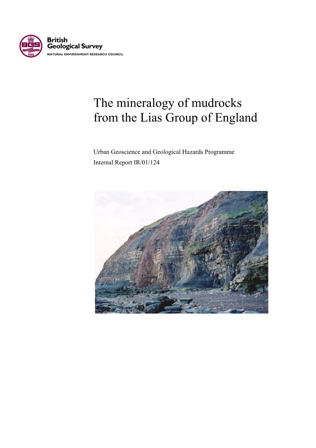 The Mineralogy of Mudrocks from the Lias Group of England