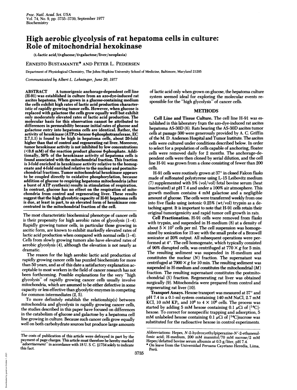 High Aerobicglycolysis of Rat Hepatoma Cells in Culture: Role Of