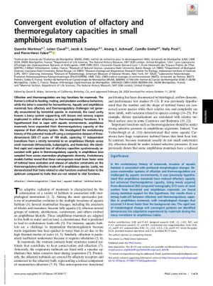 Convergent Evolution of Olfactory and Thermoregulatory Capacities in Small Amphibious Mammals