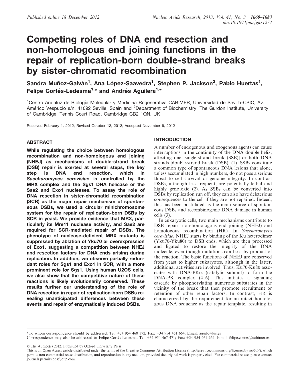 Competing Roles of DNA End Resection and Non-Homologous End Joining