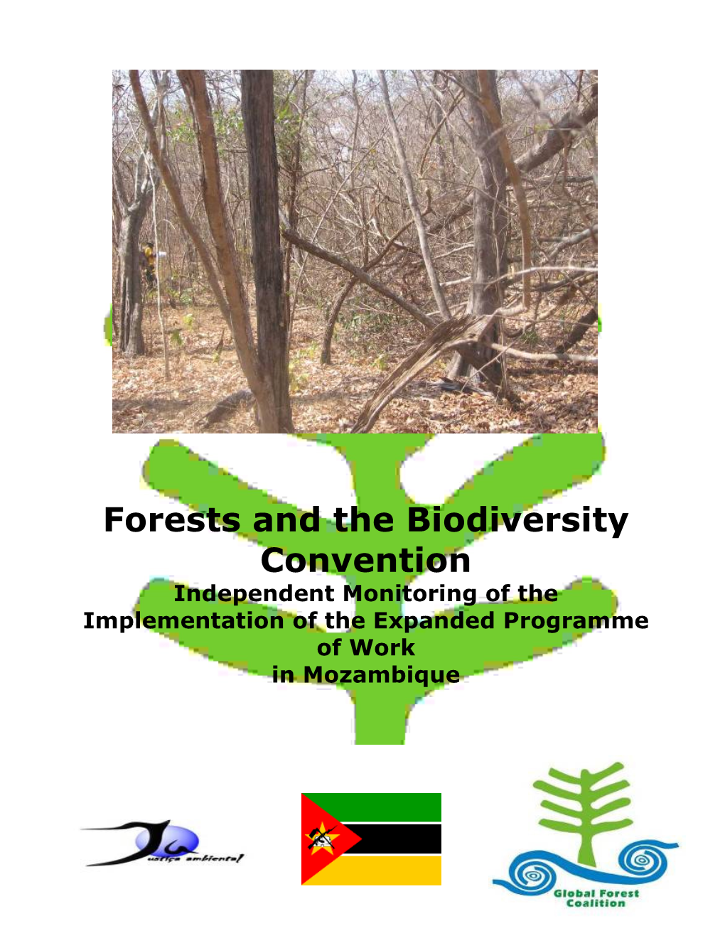 Forests and the Biodiversity Convention Independent Monitoring of the Implementation of the Expanded Programme of Work in Mozambique
