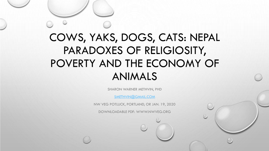 Cows, Yaks, Dogs, Cats: Nepal Paradoxes of Religiosity, Poverty and the Economy of Animals