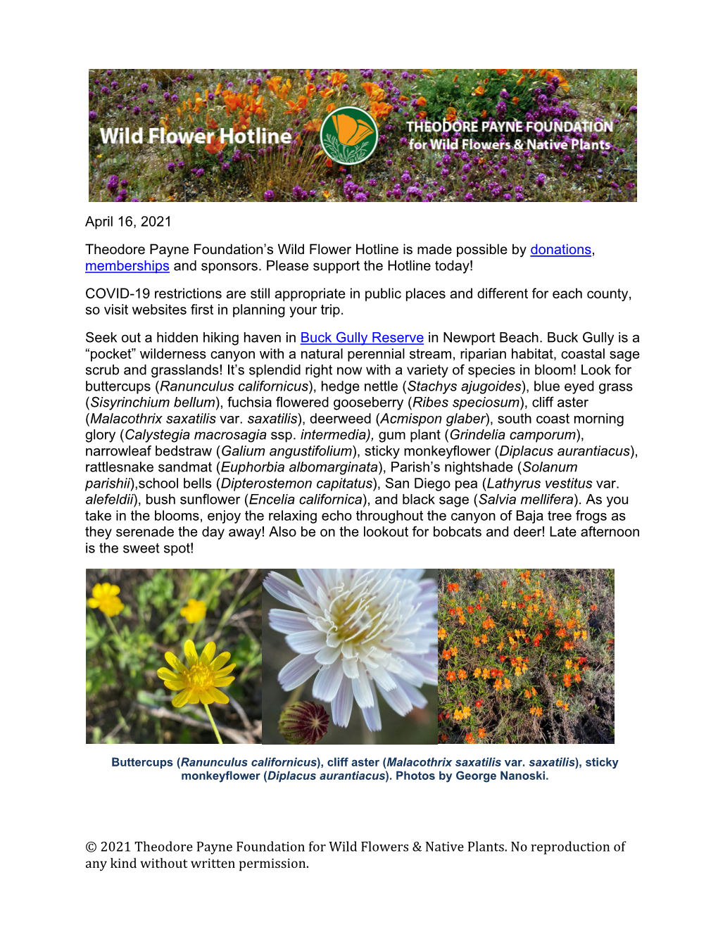 © 2021 Theodore Payne Foundation for Wild Flowers & Native Plants. No
