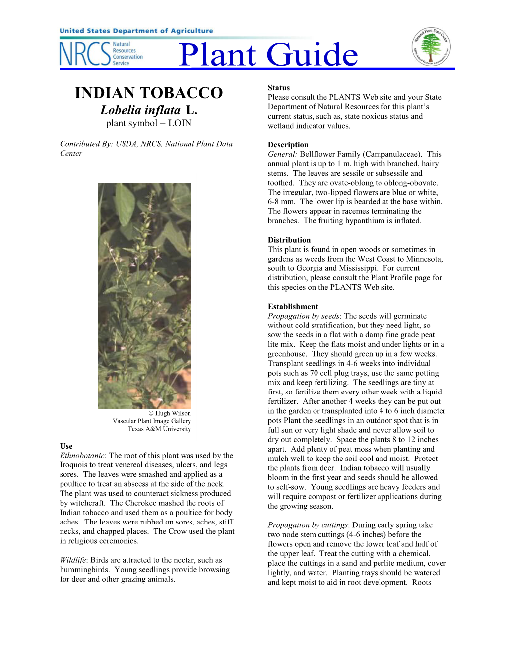 INDIAN TOBACCO Please Consult the PLANTS Web Site and Your State Department of Natural Resources for This Plant’S Lobelia Inflata L