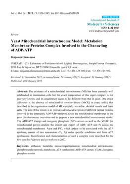 Yeast Mitochondrial Interactosome Model: Metabolon Membrane Proteins Complex Involved in the Channeling of ADP/ATP