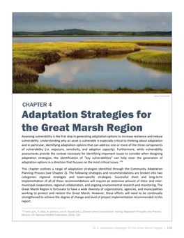 Adaptation Strategies for the Great Marsh Region