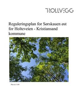 Reguleringsplan for Sørskauen Øst for Holteveien I Kristiansand Kommune