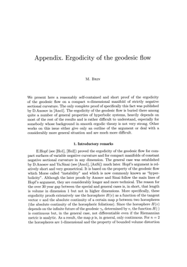 Appendix. Ergodicity of the Geodesic Flow