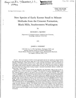 New Species of Early Eocene Small to Minute Mollusks from the Crescent Formation, Black Hills, Southwestern Washington