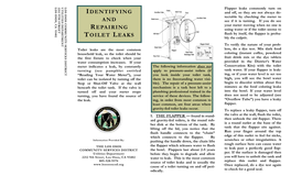Identifying and Repairing Toilet Leaks