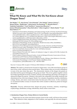 What We Know and What We Do Not Know About Dragon Trees?