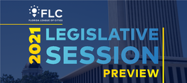 2021 Legislative Session Preview
