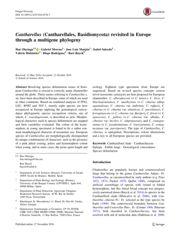 Cantharellus (Cantharellales, Basidiomycota) Revisited in Europe Through a Multigene Phylogeny