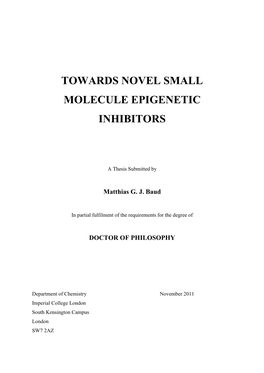Towards Novel Small Molecule Epigenetic Inhibitors