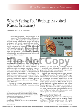 What's Eating You? Bedbugs Revisited (Cimex Lectularius)