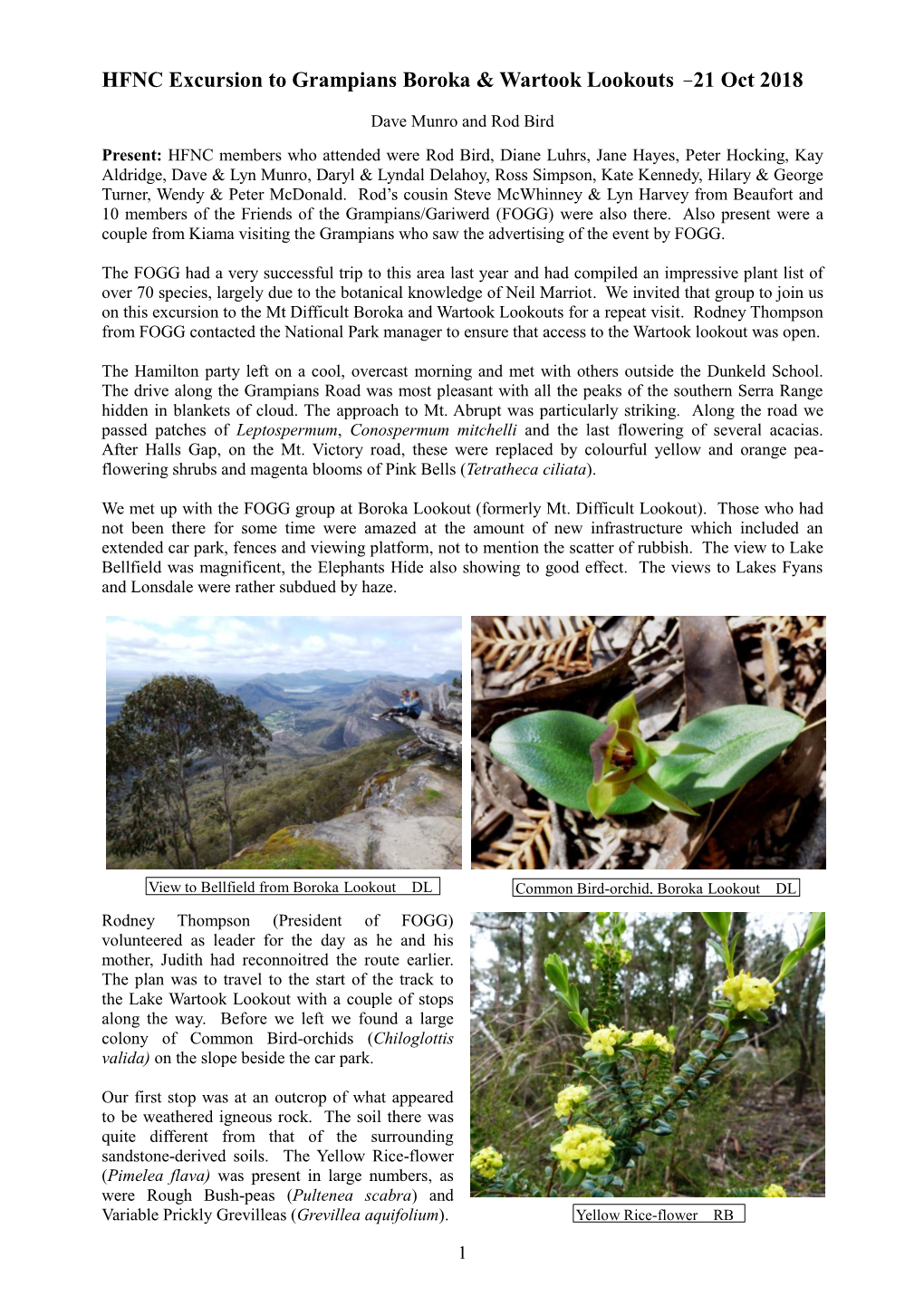 Grampians, Boroka and Wartook Lookouts