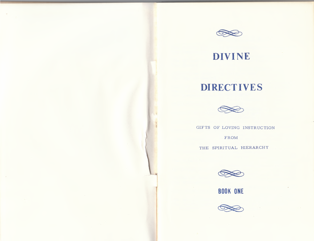 Divine Directives Book One Pg 1