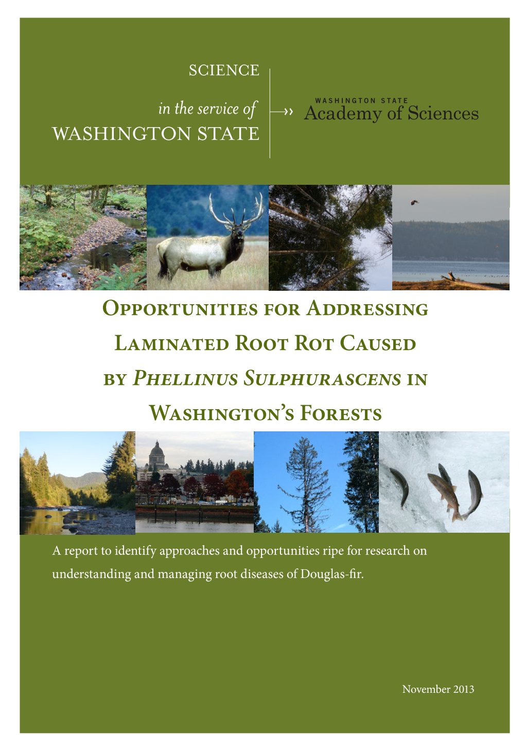 Opportunities for Addressing Laminated Root Rot Caused by Phellinus Sulphurascens in Washington’S Forests