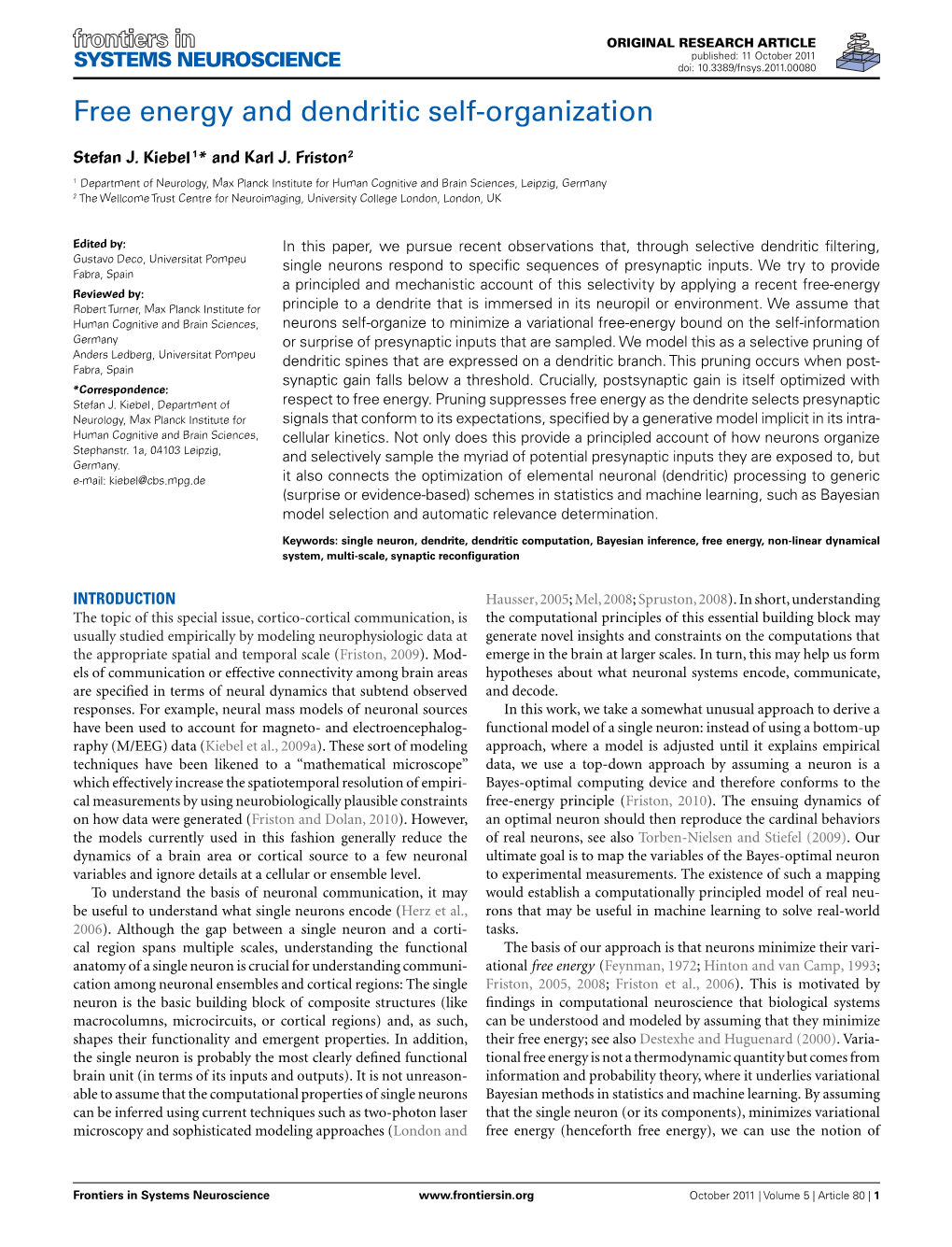 Free Energy and Dendritic Self-Organization