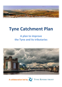 Tyne Catchment Plan