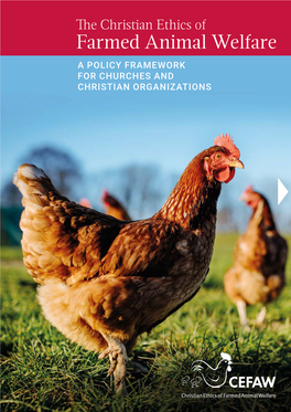 The Christian Ethics of Farmed Animal Welfare a POLICY FRAMEWORK for CHURCHES and CHRISTIAN ORGANIZATIONS