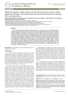 Cryptic Species in the Otomys Genus