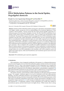 DNA Methylation Patterns in the Social Spider, Stegodyphus Dumicola