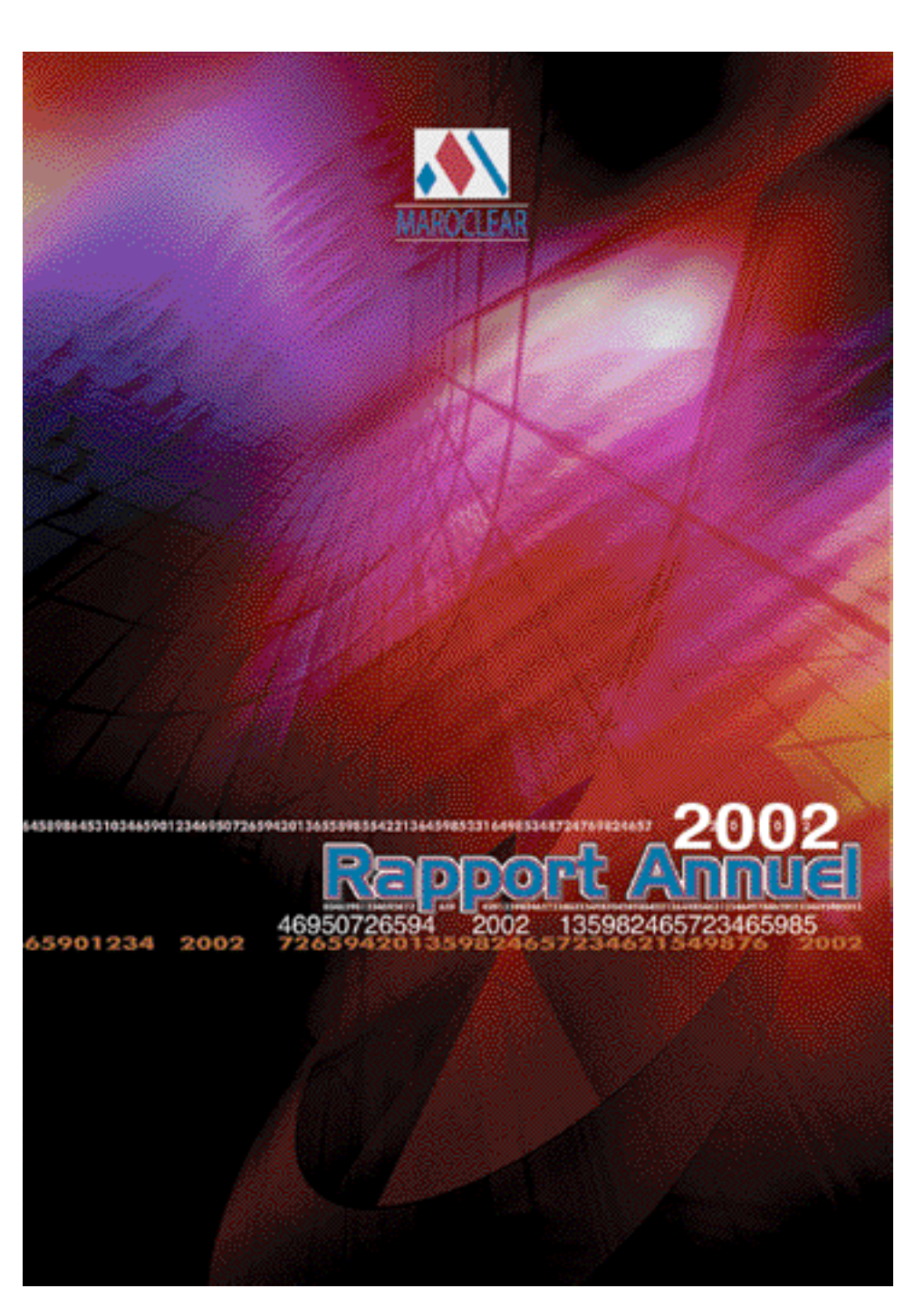 Rapport Annuel 2002.Pdf