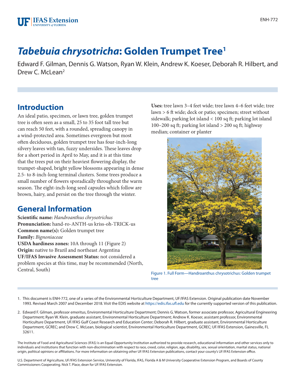 Tabebuia Chrysotricha: Golden Trumpet Tree1 Edward F