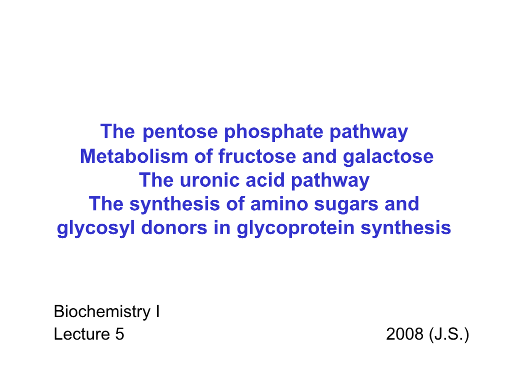 The Pentose Phosphate Pathway Metabolism of Fructose and Galactose the Uronic Acid Pathway the Synthesis of Amino Sugars and Glycosyl Donors in Glycoprotein Synthesis