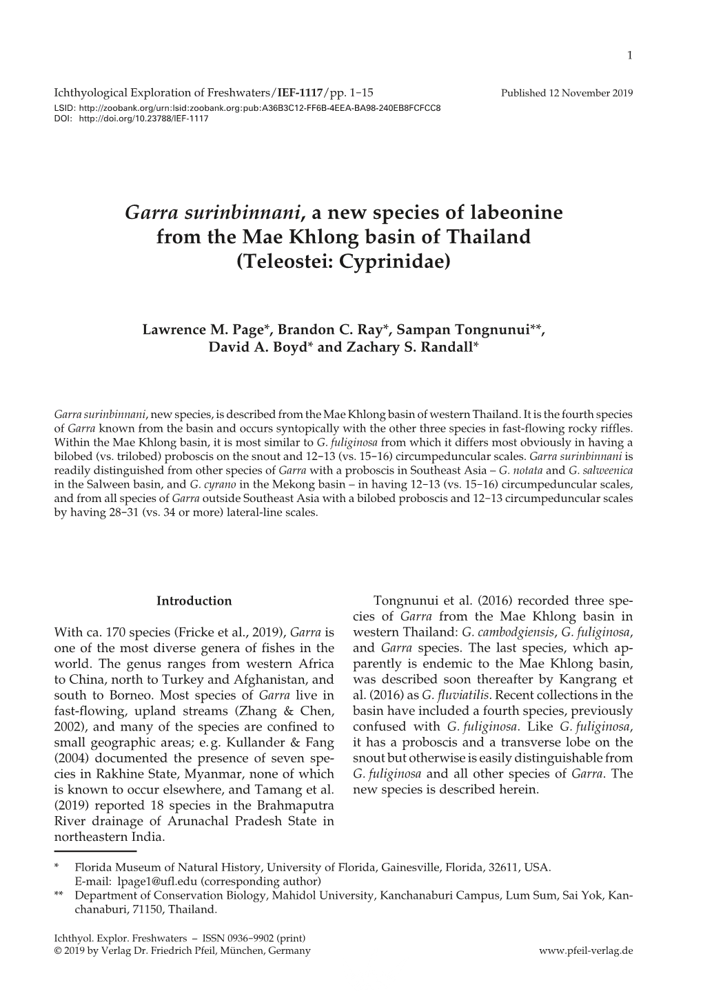 Garra Surinbinnani, a New Species of Labeonine from the Mae Khlong Basin of Thailand (Teleostei: Cyprinidae)