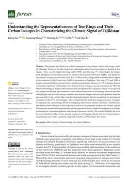 Understanding the Representativeness of Tree Rings and Their Carbon Isotopes in Characterizing the Climate Signal of Tajikistan