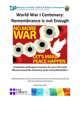 World War I Centenary: Remembrance Is Not Enough