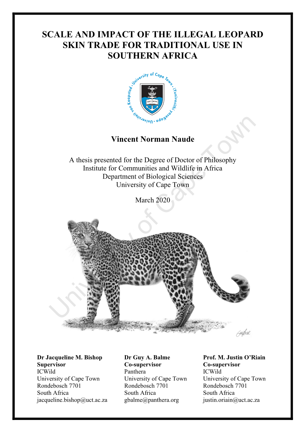 Scale and Impact of the Illegal Leopard Skin Trade for Traditional Use in Southern Africa