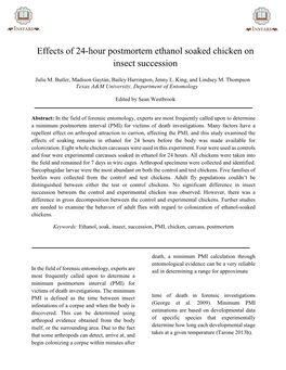Effects of 24-Hour Postmortem Ethanol Soaked Chicken on Insect Succession