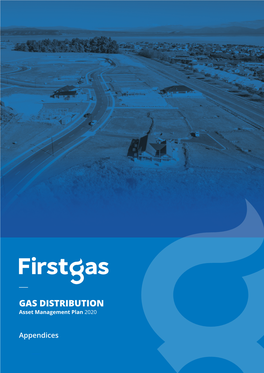 GAS DISTRIBUTION Asset Management Plan 2020
