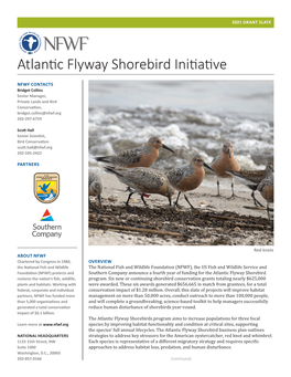 Atlantic Flyway Shorebird Initiative