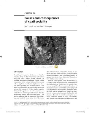 Causes and Consequences of Coati Sociality