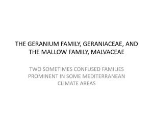 The Geranium Family, Geraniaceae, and the Mallow Family, Malvaceae