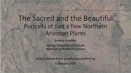 The Sacred and the Scientific the Botany of Northern Arizona