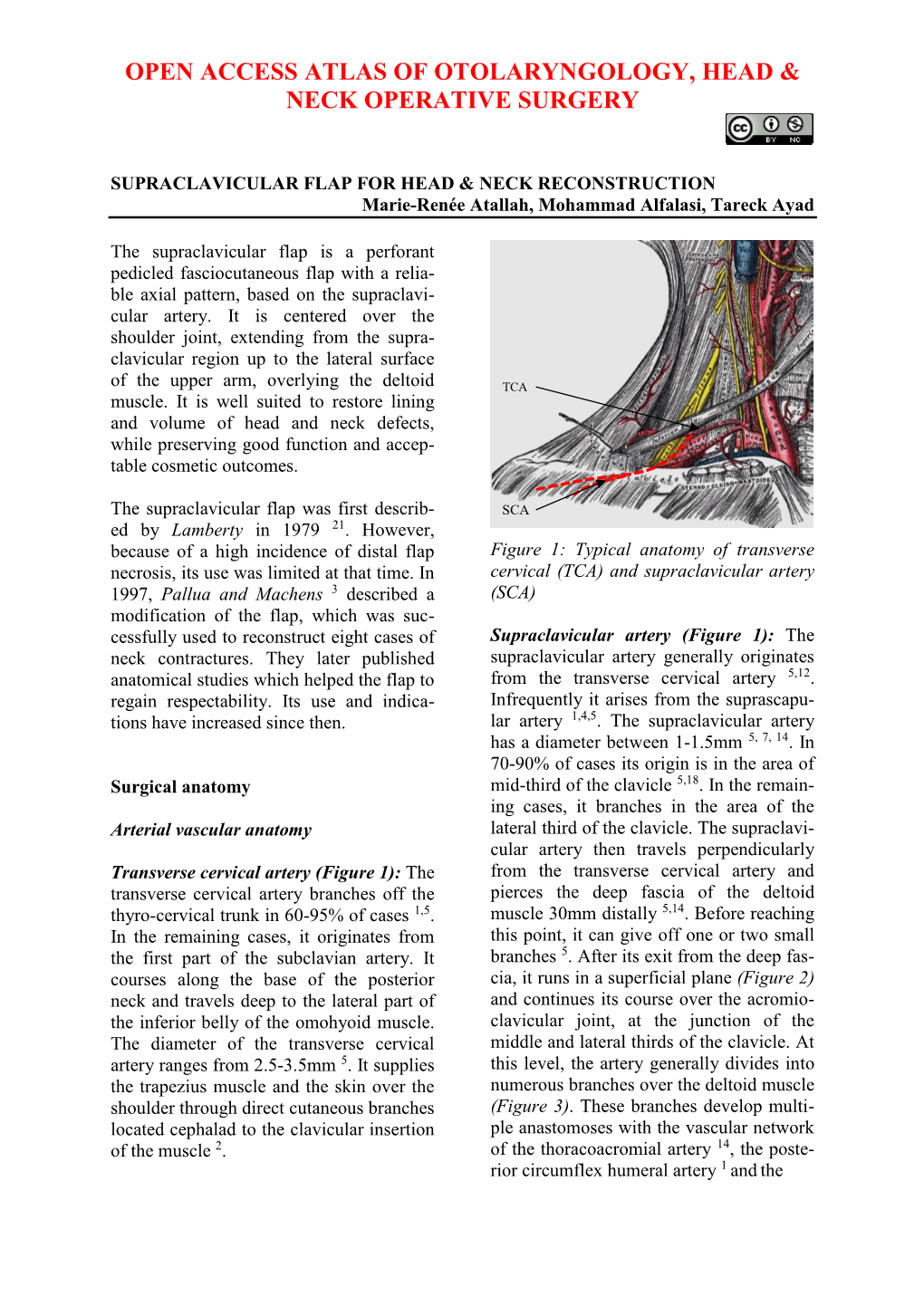 SUPRACLAVICULAR FLAP for HEAD & NECK RECONSTRUCTION Marie-Renée Atallah, Mohammad Alfalasi, Tareck Ayad