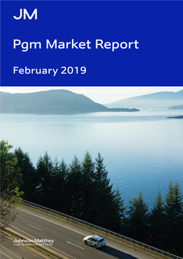 Pgm Market Report February 2019 Half of 2017